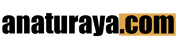 Banner Mobile